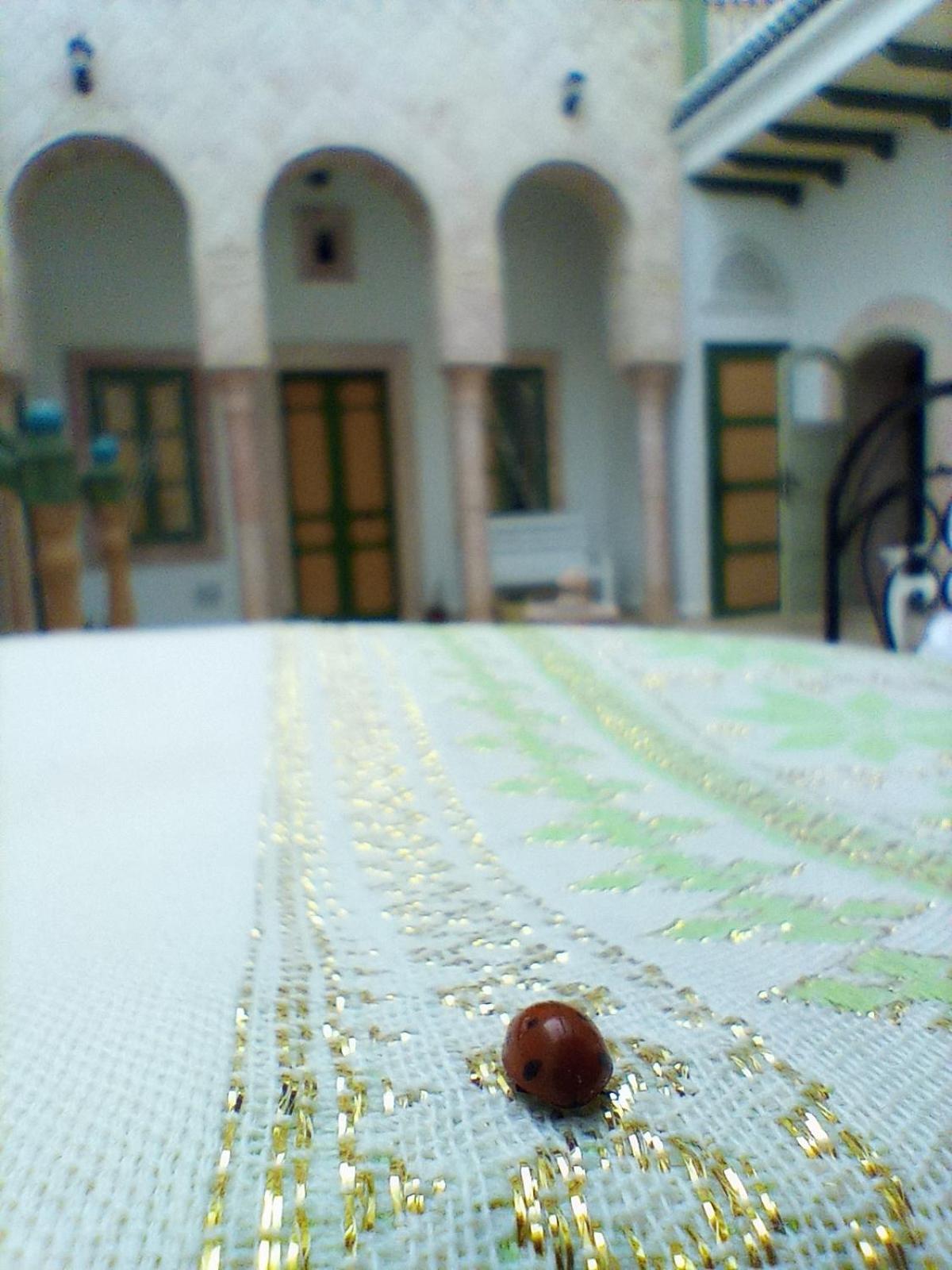 Dar Baaziz 3 Appartamento *