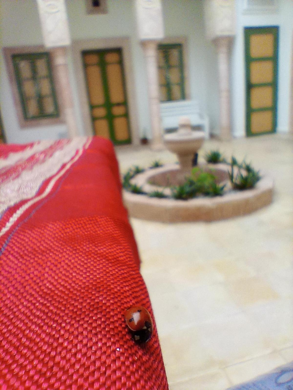 Dar Baaziz 3